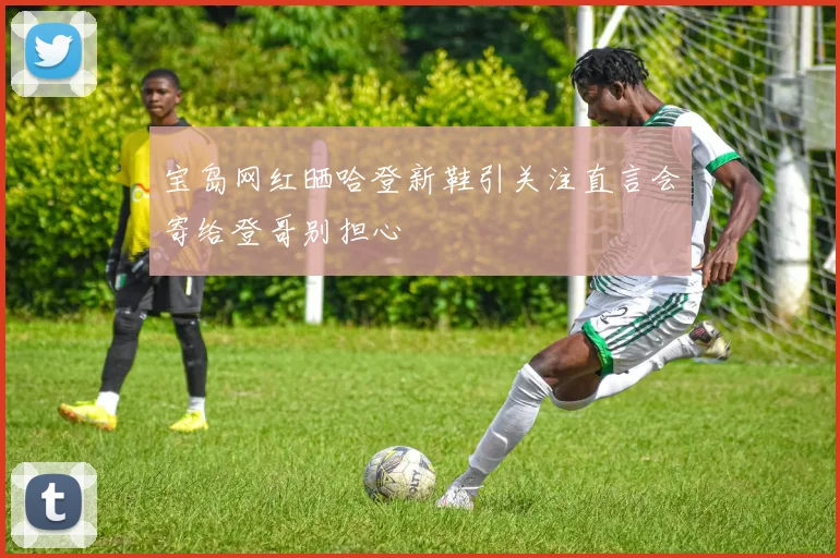 宝岛网红晒哈登新鞋引关注直言会寄给登哥别担心